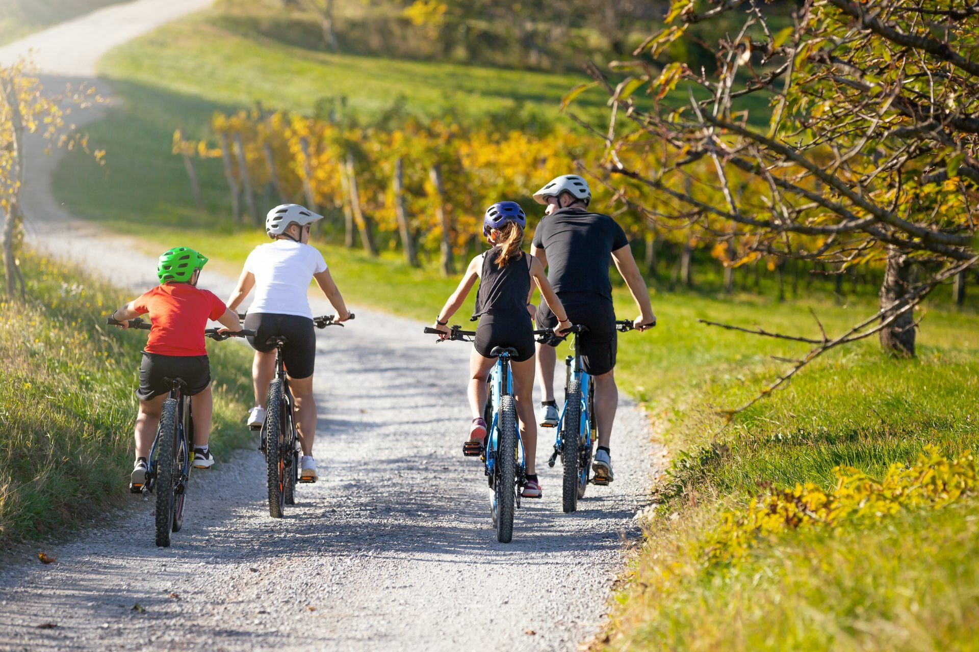 Die passende Fahrradwahl für deine Radreisen