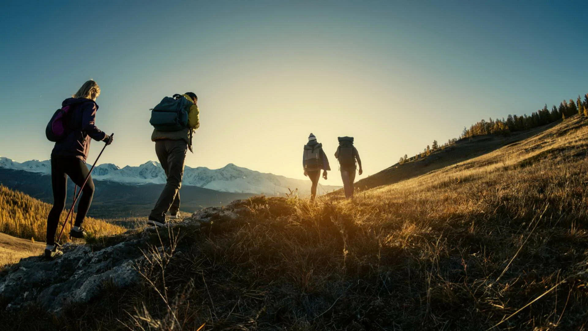 Group of hikers walks in mountains at sunset